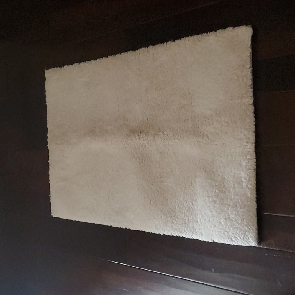 Plush White Shag Rug